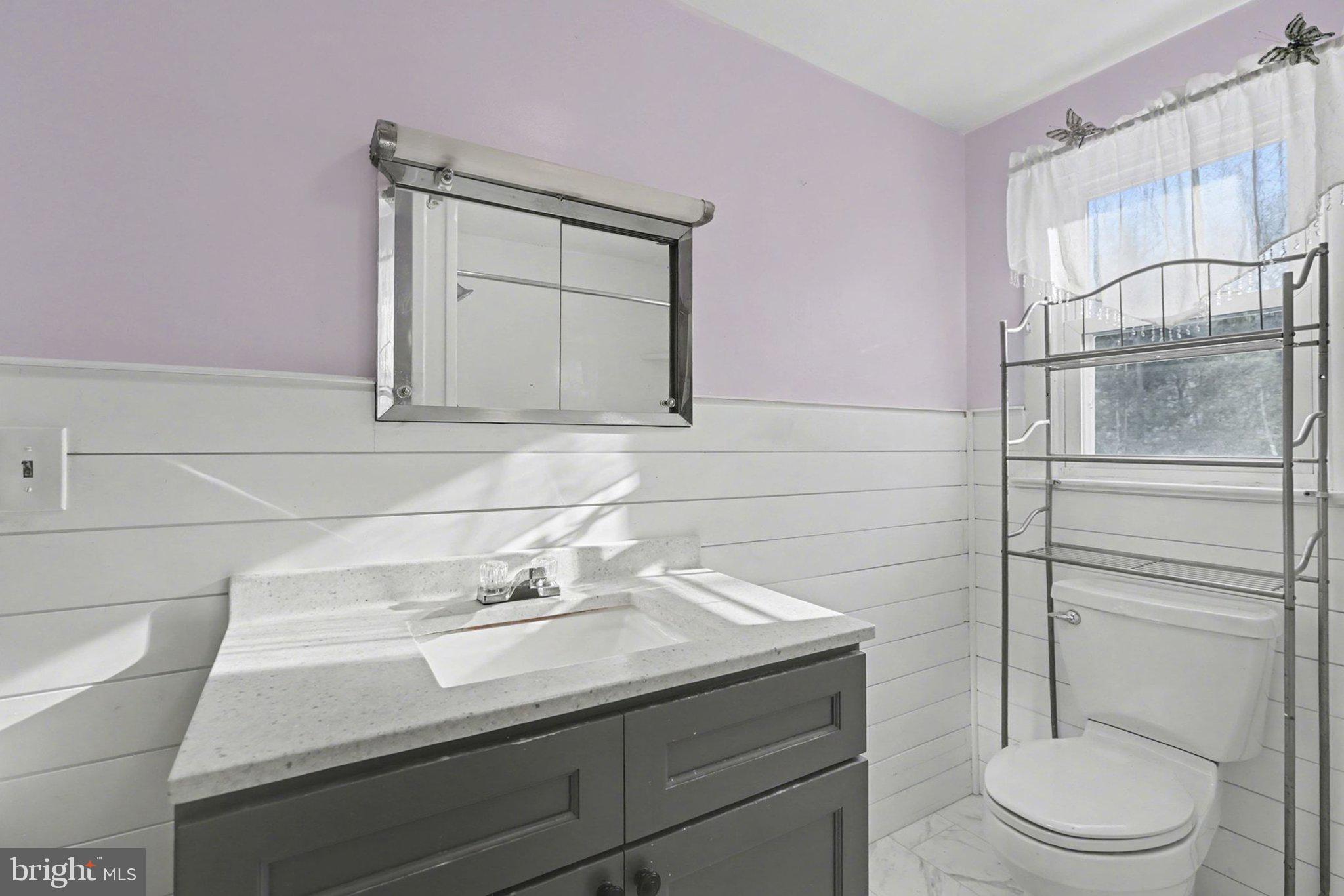 908 Red Hill Road Dauphin, PA 17018 - Photo 25 of 33 a bathroom with a sink a toilet and shower