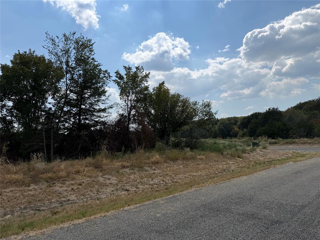 Lot 5 Co Road Farmersville, TX 75442 - Photo 6 of 15 Established trees and natural landscaping border a paved road