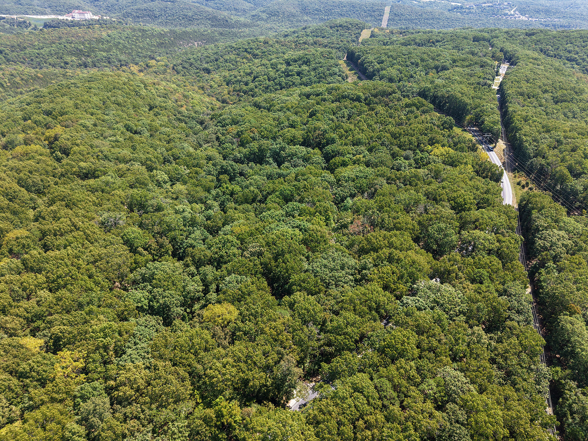 62 Seldom Seen Lane Reeds Spring, MO 65737 - Photo 2 of 12 Drone 1