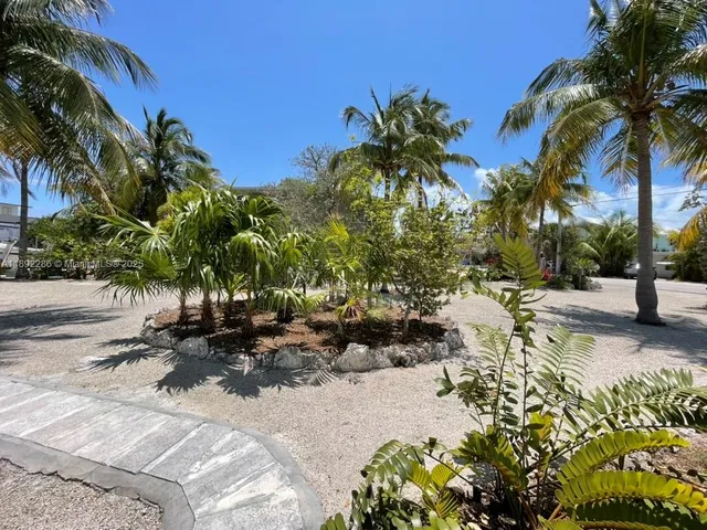 a row of palm trees and a yard with swimming pool