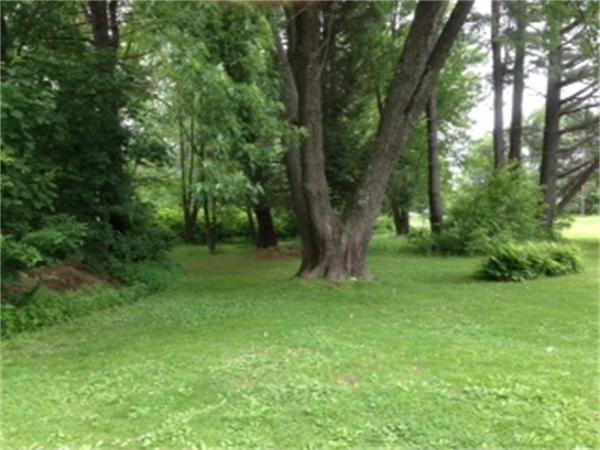 399 Burts Pit Road Northampton, MA 01062 - Photo 4 of 6 a view of a trees in a yard