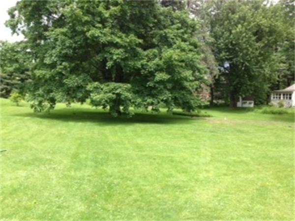 399 Burts Pit Road Northampton, MA 01062 - Photo 5 of 6 a view of a yard with a trees