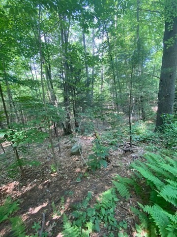Lot Five Old Belchertown Road Ware, MA 01082 - Photo 7 of 11 a view of outdoor space and green space