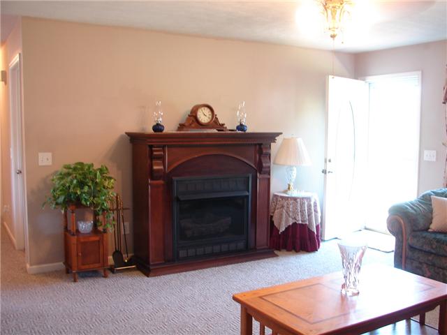1075 Mt Vernon Road Bethpage, TN 37022 - Photo 4 of 12 The family room has fireplace with gas logs!