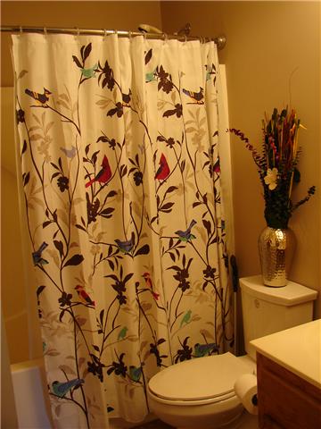 1075 Mt Vernon Road Bethpage, TN 37022 - Photo 6 of 12 Master bath with tub/shower combo!