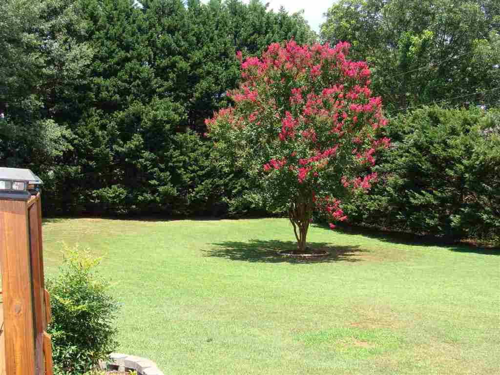 2012 Old Spring Drive Anderson, SC 29625 - Photo 19 of 36