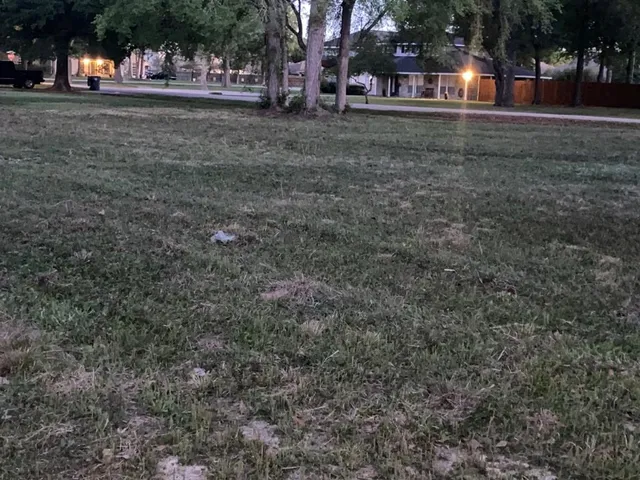 a view of road with trees