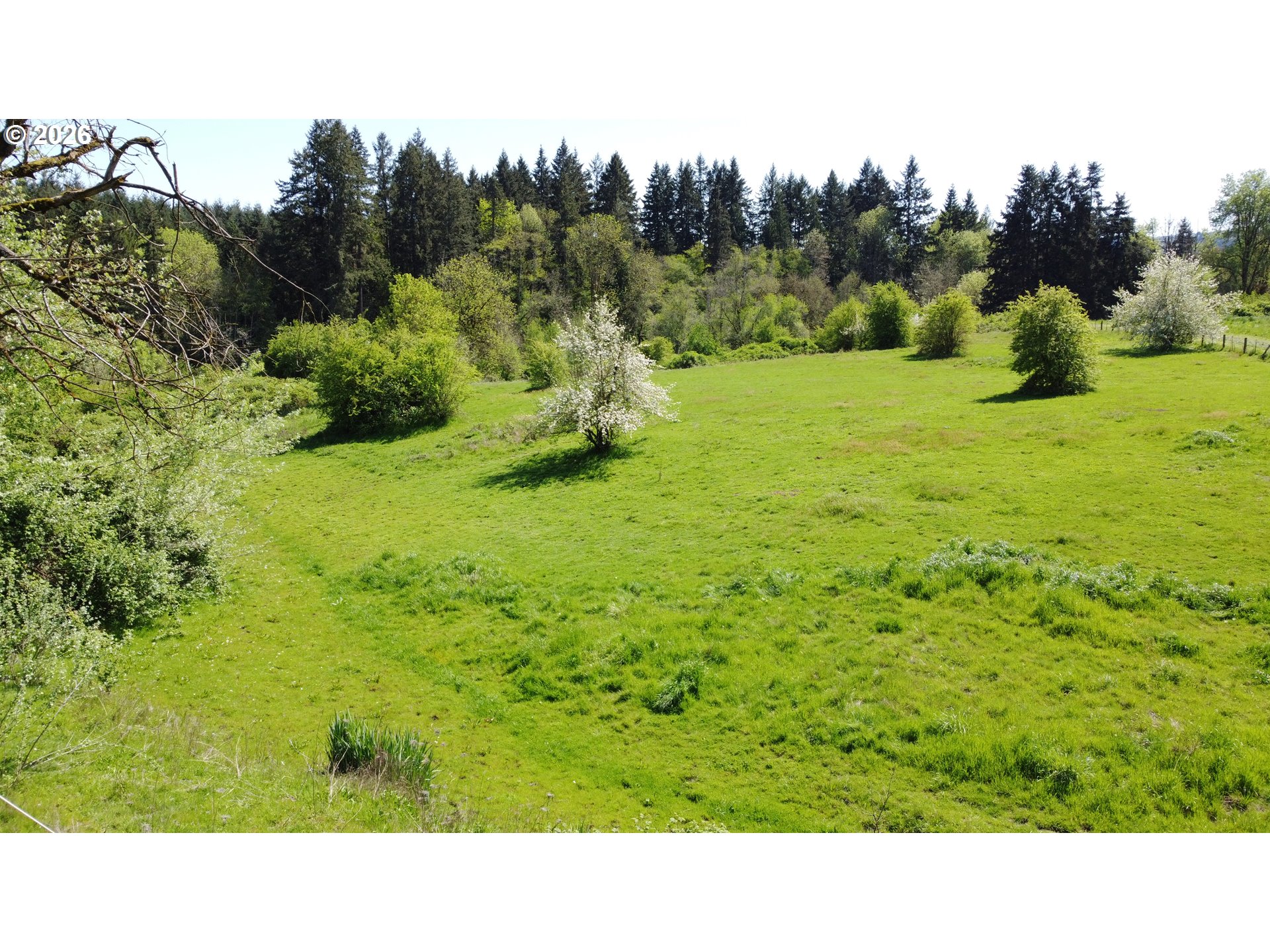 31080 Southwest Firdale Road Cornelius, OR 97113 - Photo 32 of 35