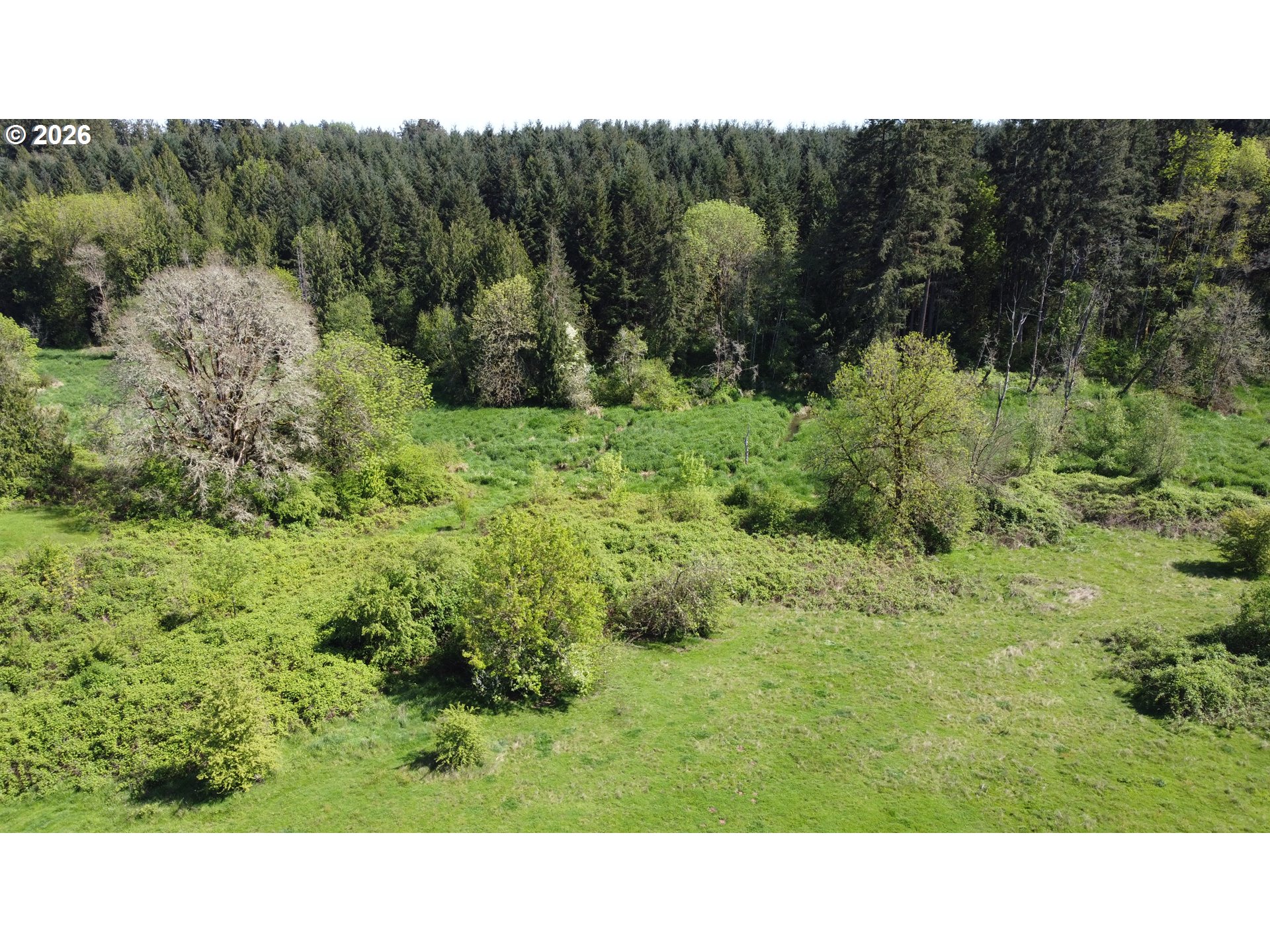 31080 Southwest Firdale Road Cornelius, OR 97113 - Photo 33 of 35