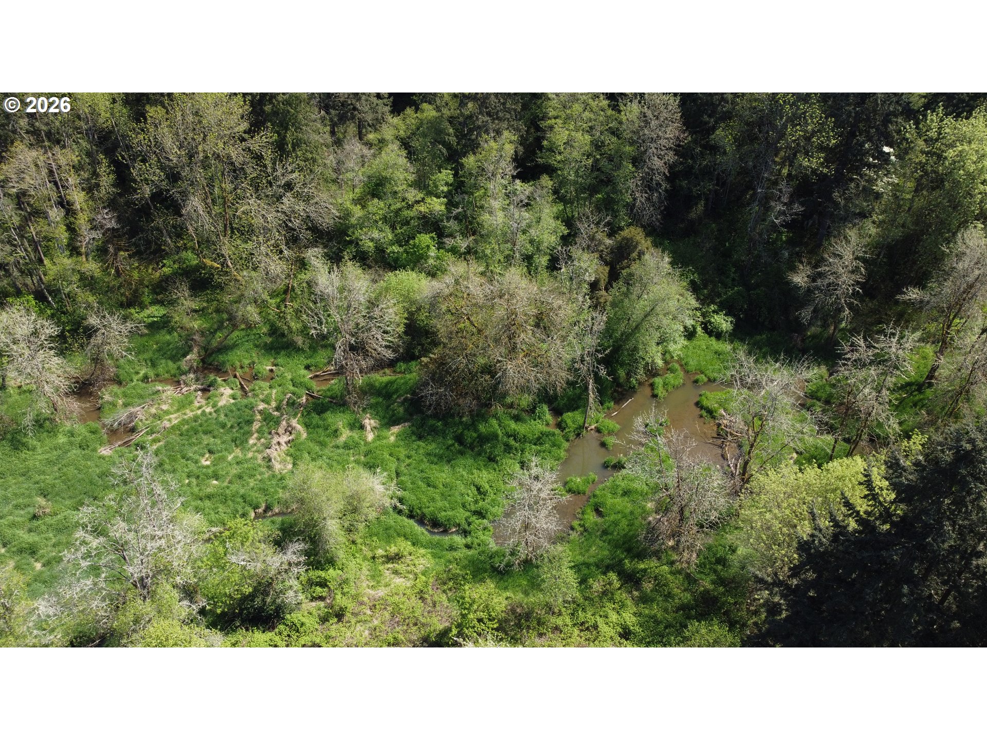 31080 Southwest Firdale Road Cornelius, OR 97113 - Photo 34 of 35