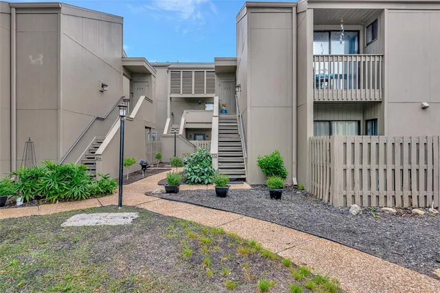 a view of a garden with potted plants