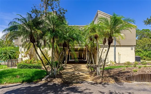 a view of a swimming pool with a patio and plants