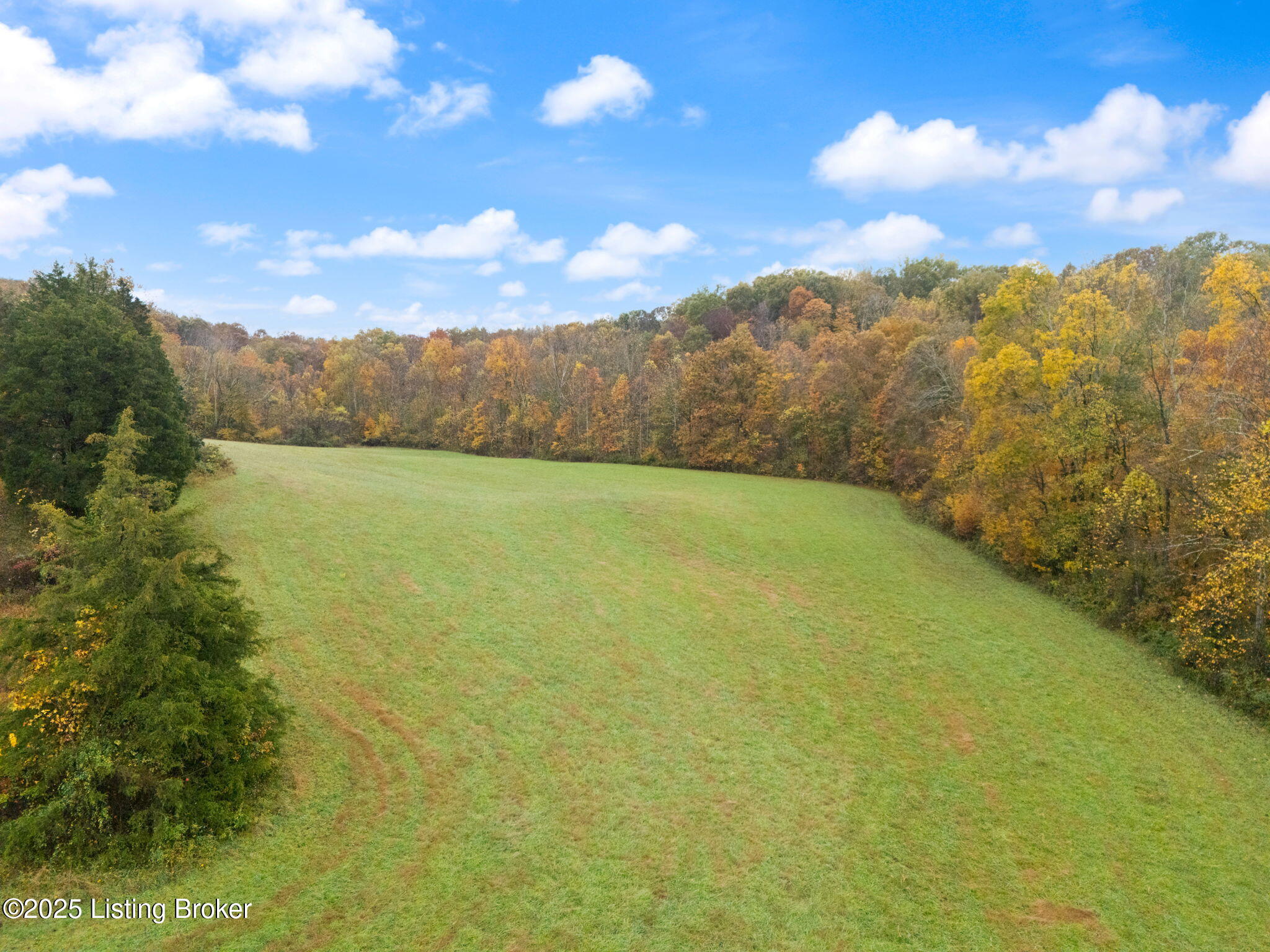2257 Doc Ward Road Summersville, KY 42782 - Photo 41 of 60 74-web-or-mls-DJI_20251030110133_0075_D