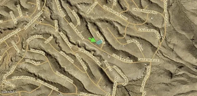 a close up of a plant