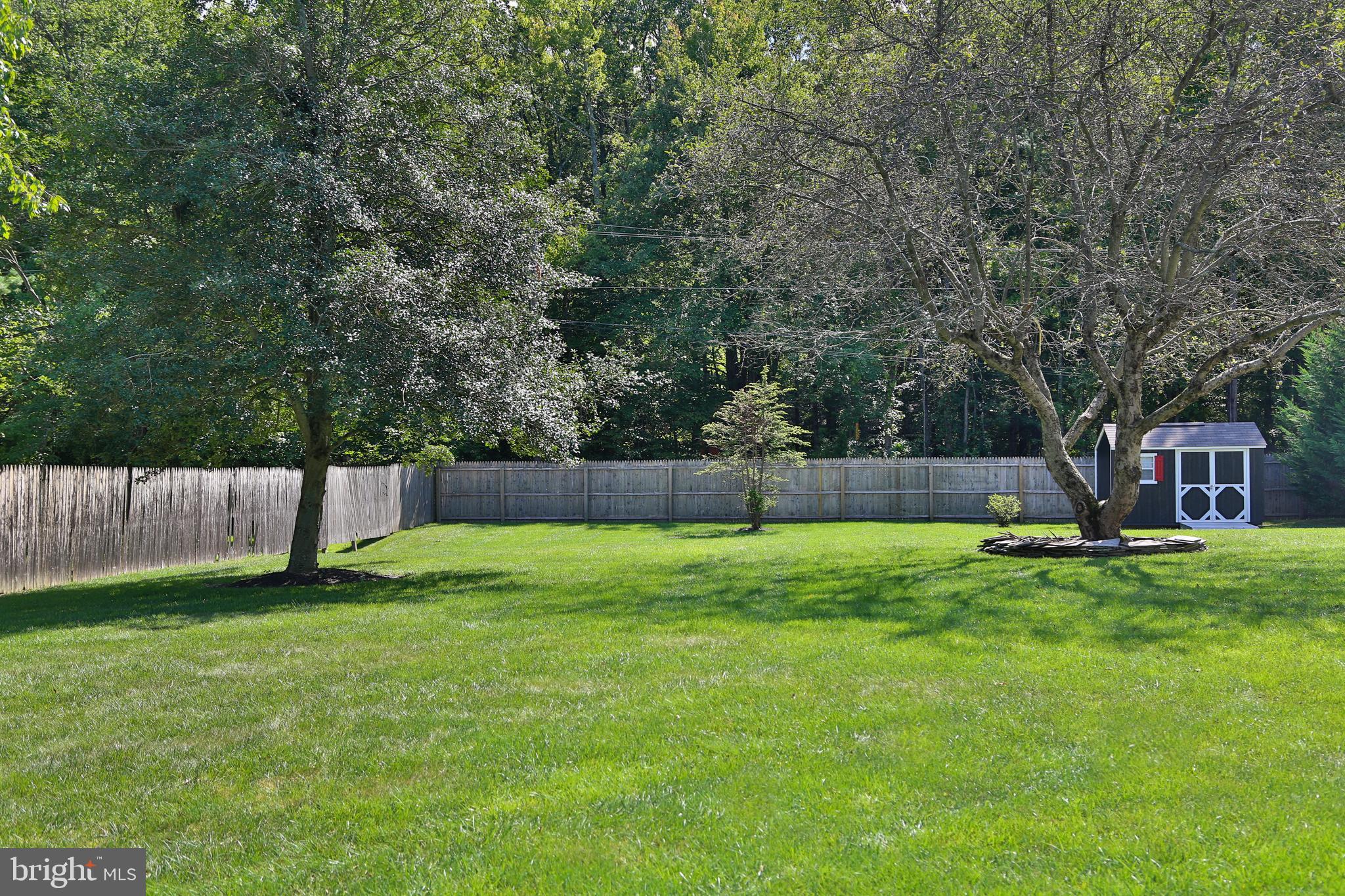 4 Indian Run Road Princeton Junction, NJ 08550 - Photo 33 of 43 a backyard of a house with lots of plants and large tree