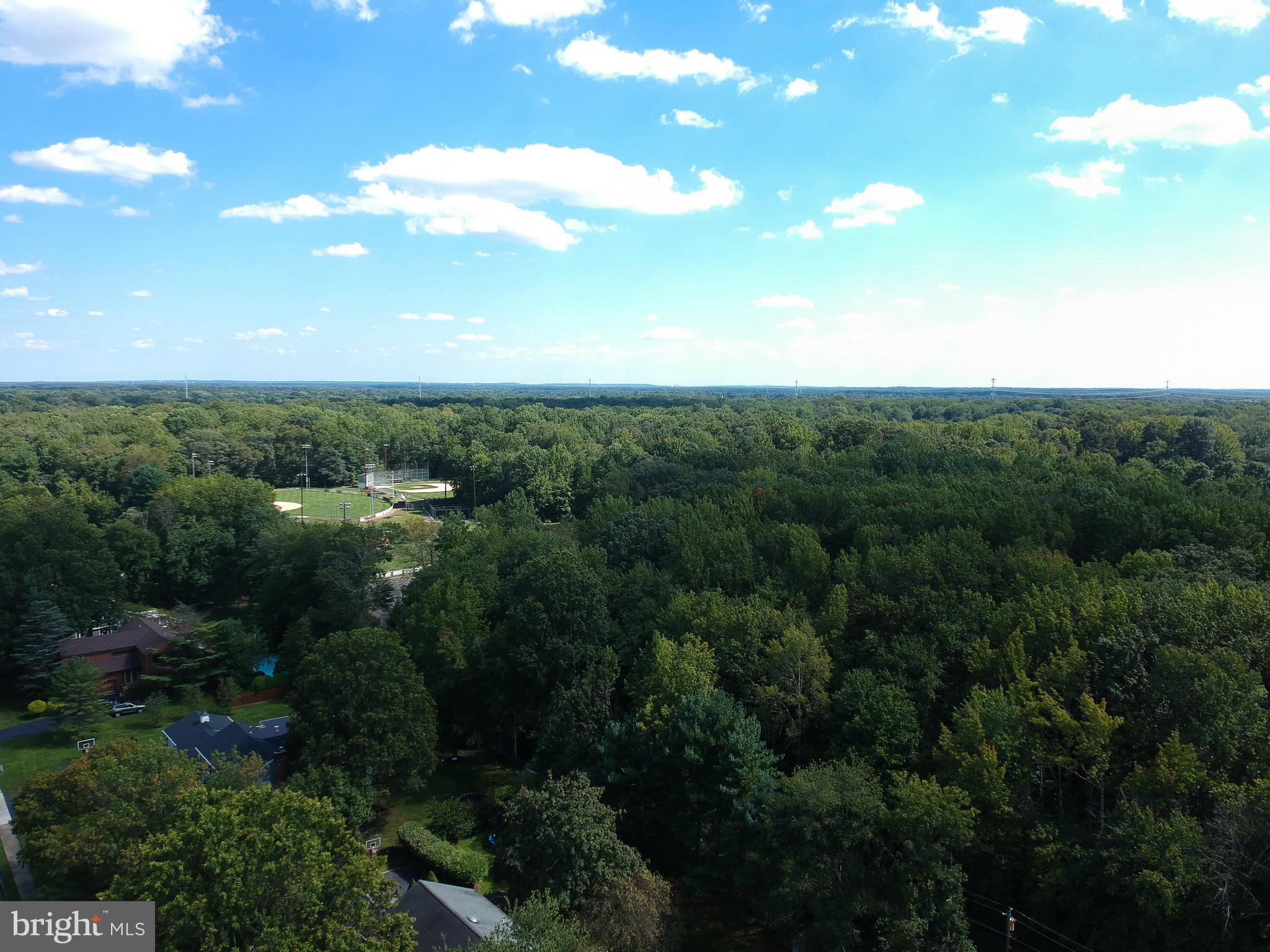 4 Indian Run Road Princeton Junction, NJ 08550 - Photo 41 of 43 a view of a city