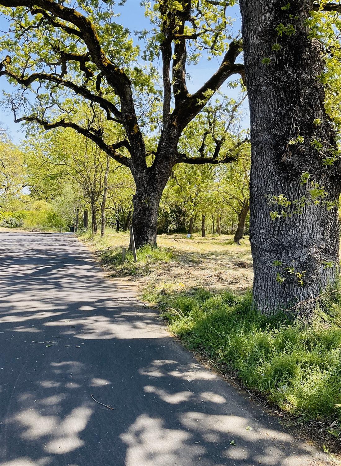 345 Wilson Lane Windsor, CA 95492 - Photo 15 of 18 a view of yard with tree in back