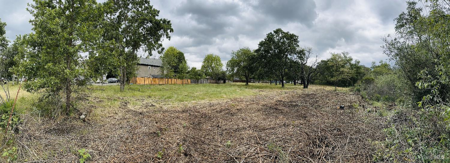 345 Wilson Lane Windsor, CA 95492 - Photo 2 of 18 a fire hydrant in the middle of a field