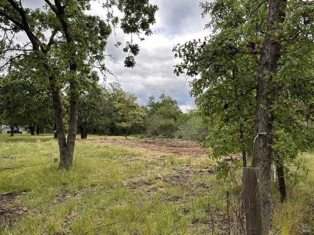 a view of a yard with trees in the background