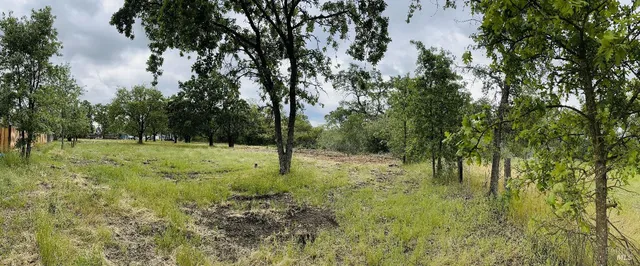 a view of outdoor space with a garden