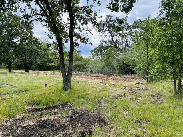a view of yard with large trees