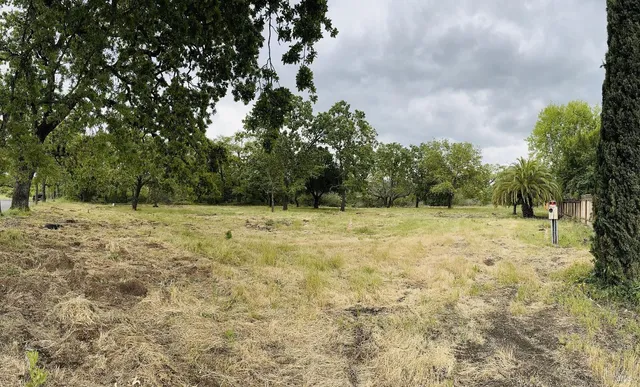 a view of a yard with trees