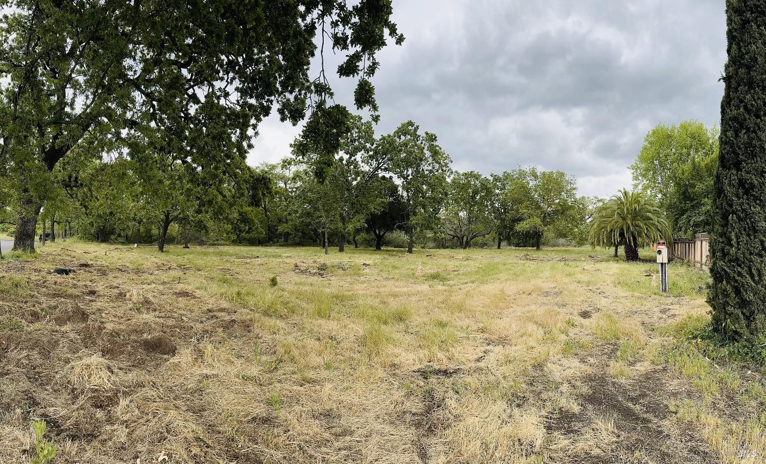 345 Wilson Lane Windsor, CA 95492 - Photo 8 of 18 a view of a yard with trees