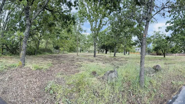 a view of outdoor space with trees all around
