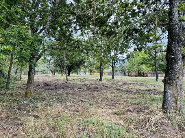 a view of outdoor space and trees