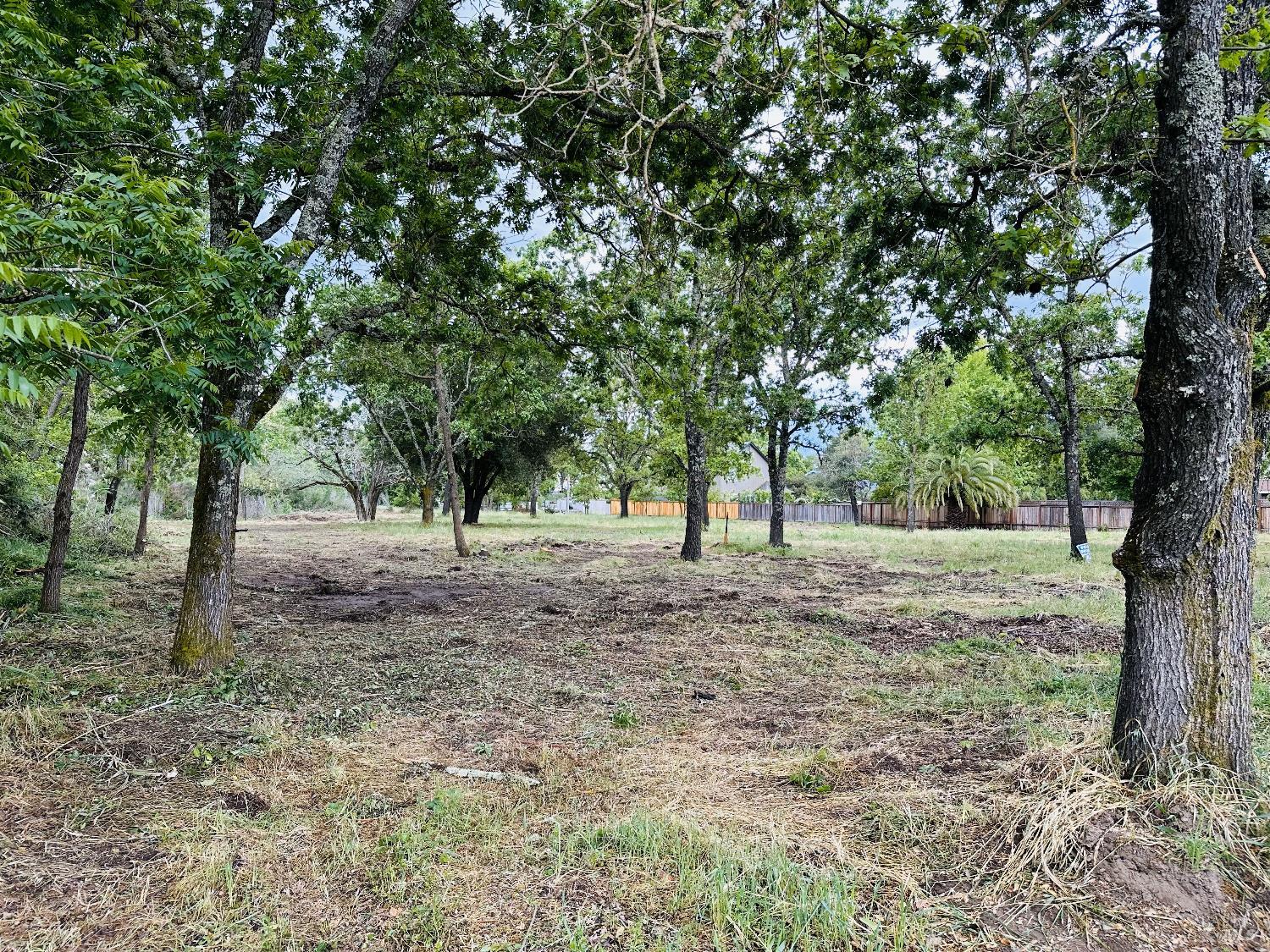 345 Wilson Lane Windsor, CA 95492 - Photo 10 of 18 a view of outdoor space and trees