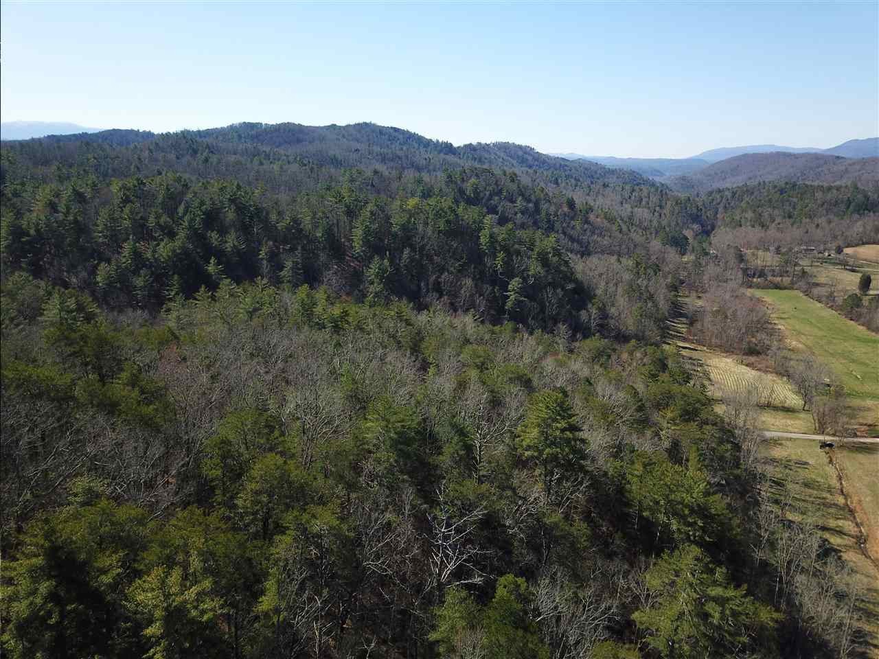 0 Towee Pike Reliance, TN 37369 - Photo 15 of 41