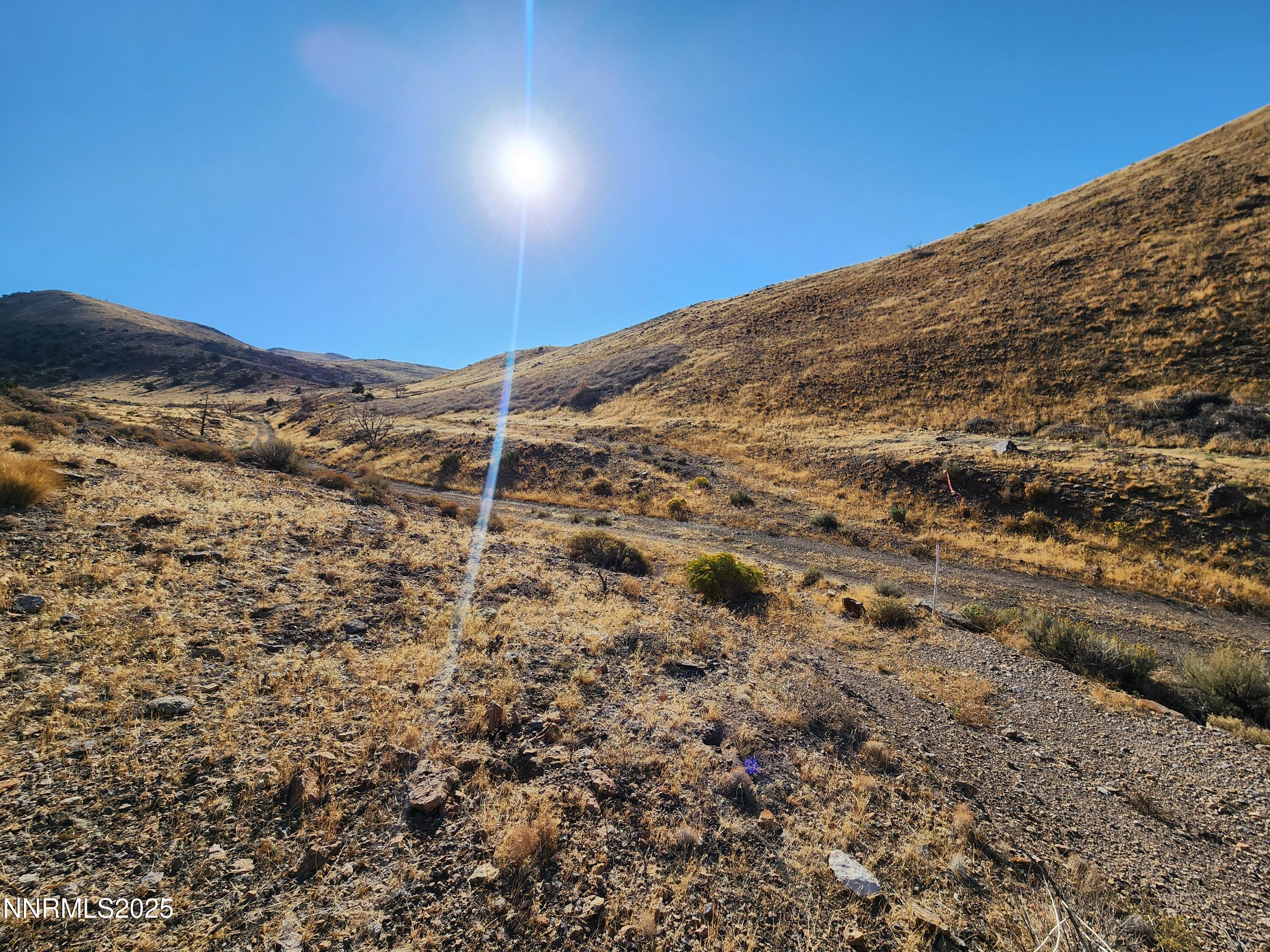 105 Stirrup Drive Reno, NV 89510 - Photo 4 of 9 a view of a backyard of a building