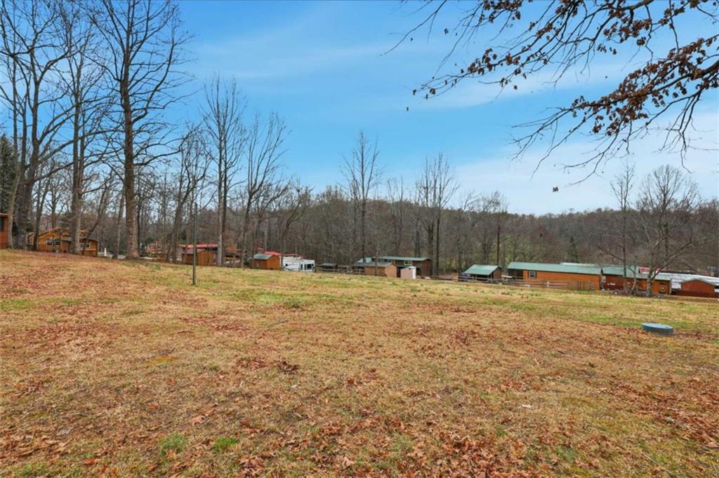 96 Stag Leap Drive Cleveland, GA 30528 - Photo 25 of 42 a view of yard with trees