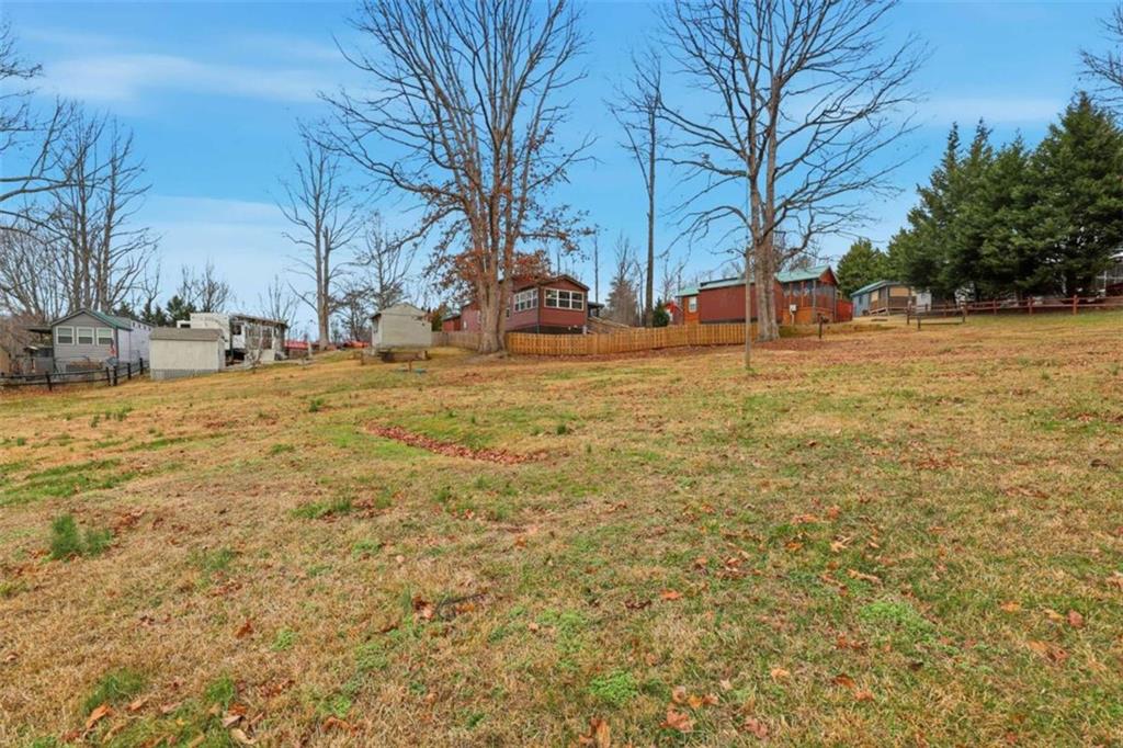 96 Stag Leap Drive Cleveland, GA 30528 - Photo 26 of 42 a view of yard with tree