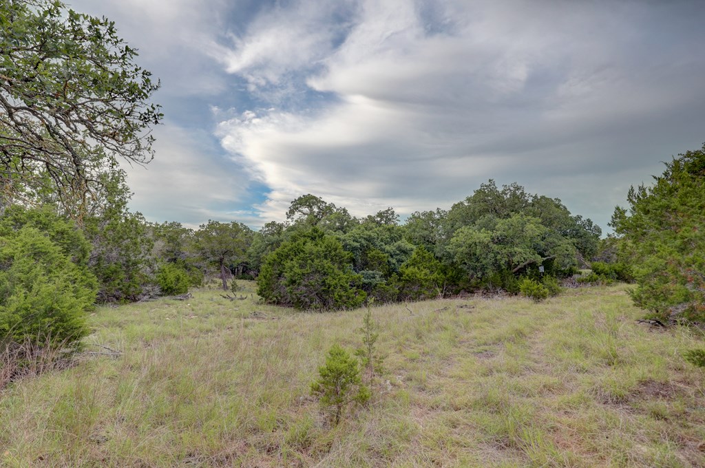 438 Yellowstone Lane Hunt, TX 78024 - Photo 16 of 47