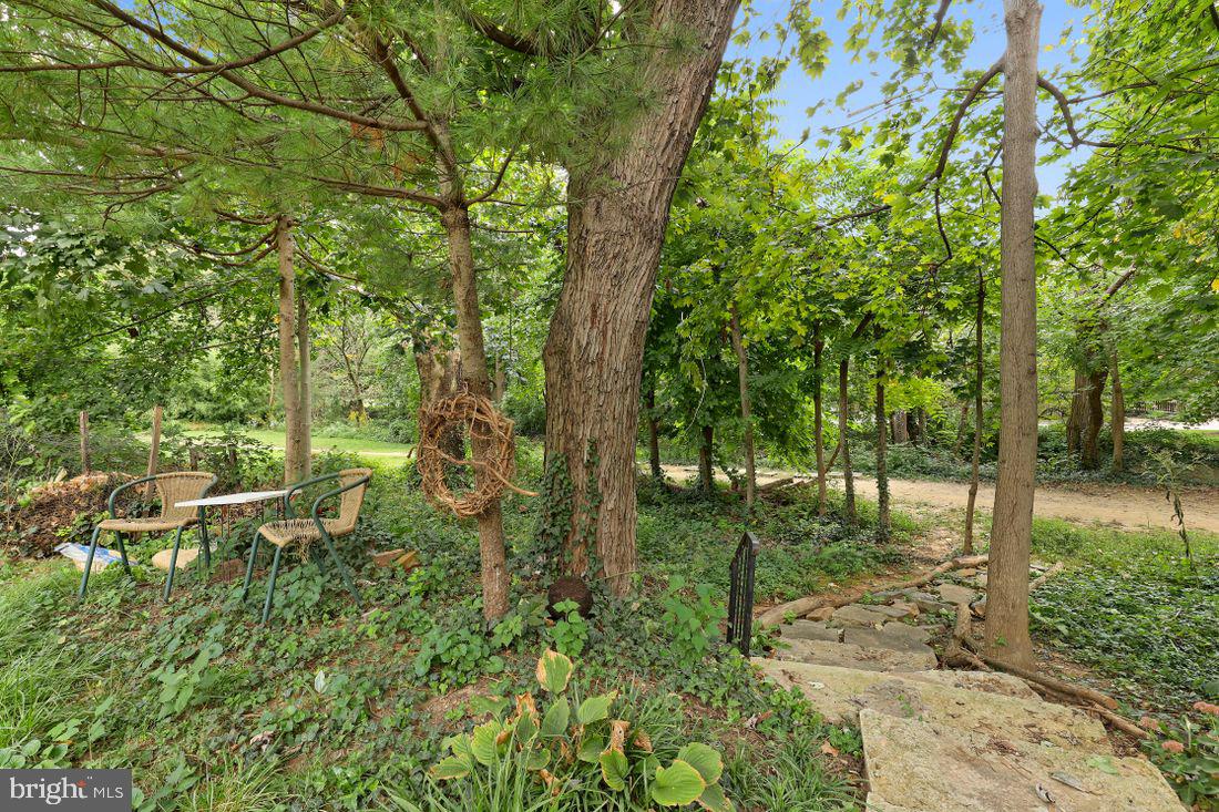 4227 Wickford Road Baltimore, MD 21210 - Photo 64 of 69 separate parcel leads to stoney run