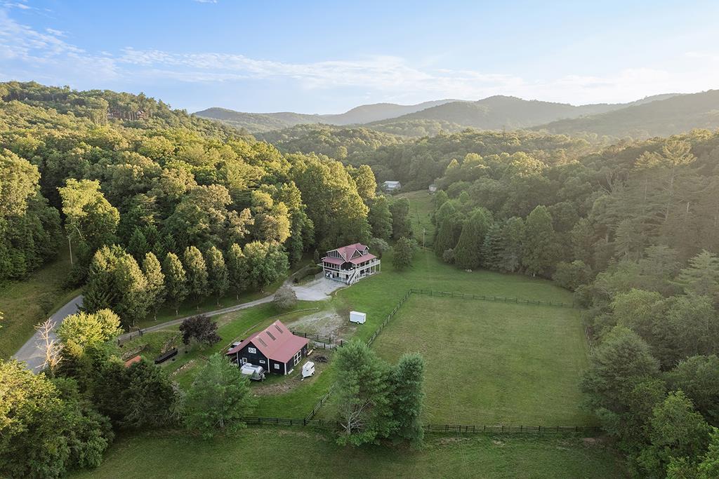 328 Black Ankle Creek Road Cherry Log, GA 30522 - Photo 1 of 103 a view of a lush green forest with mountains in the background