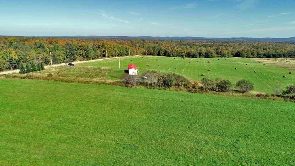 799 Clark Road Merrill, ME 04780 - Photo 9 of 55 farm-aroostook-county-maine