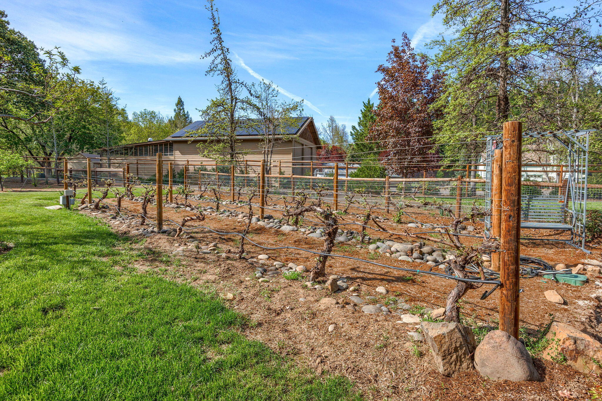 343 Rene Drive Shady Cove, OR 97539 - Photo 66 of 152 Vineyard