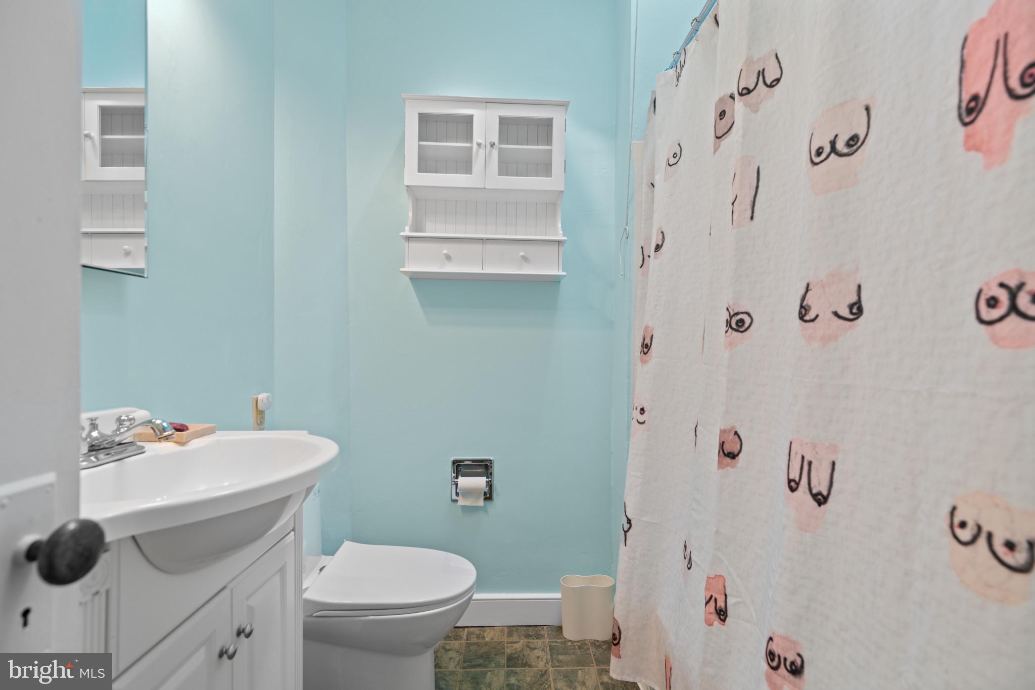1228 West 37th Street Baltimore, MD 21211 - Photo 17 of 23 a bathroom with a sink toilet and a mirror