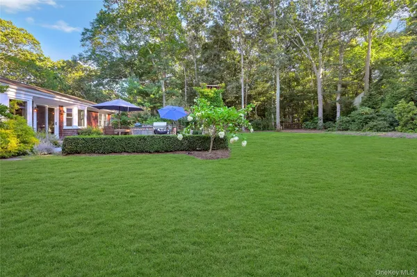 a view of a backyard with plants and large garden