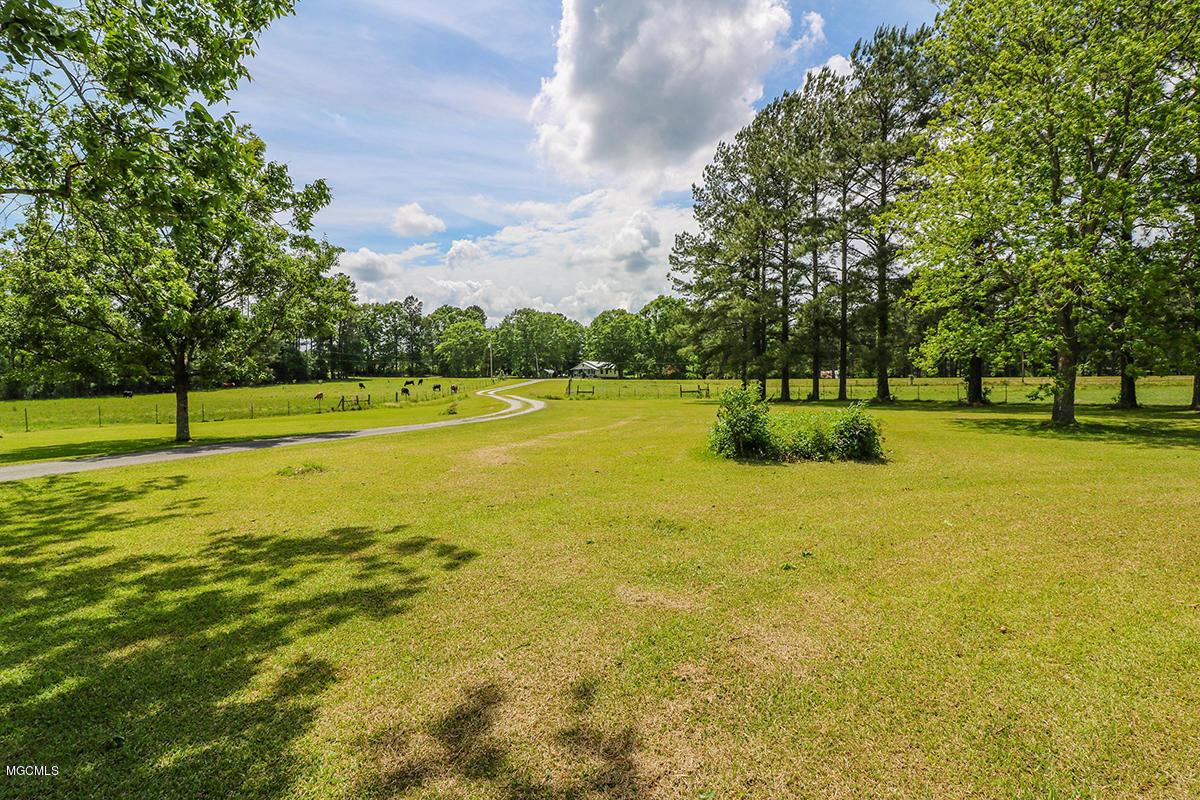 174 Bexley Road Lucedale, MS 39452 - Photo 48 of 59 48