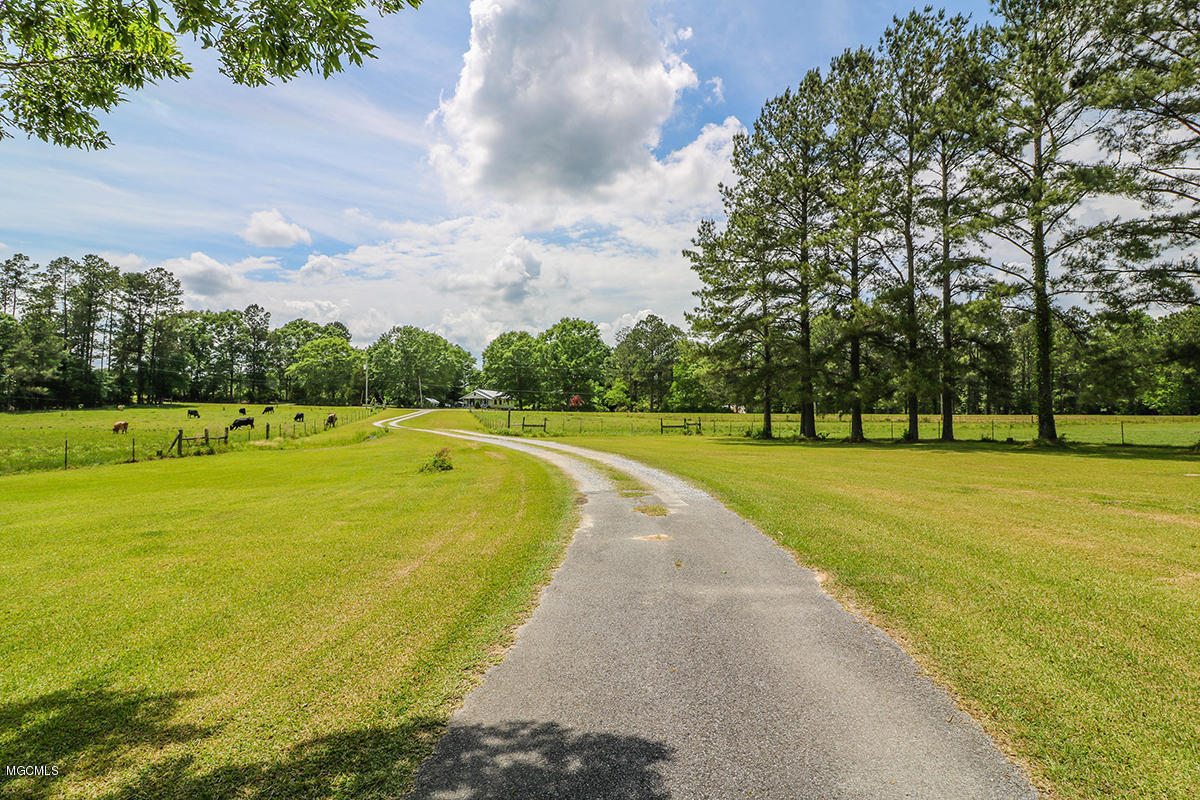 174 Bexley Road Lucedale, MS 39452 - Photo 49 of 59 49