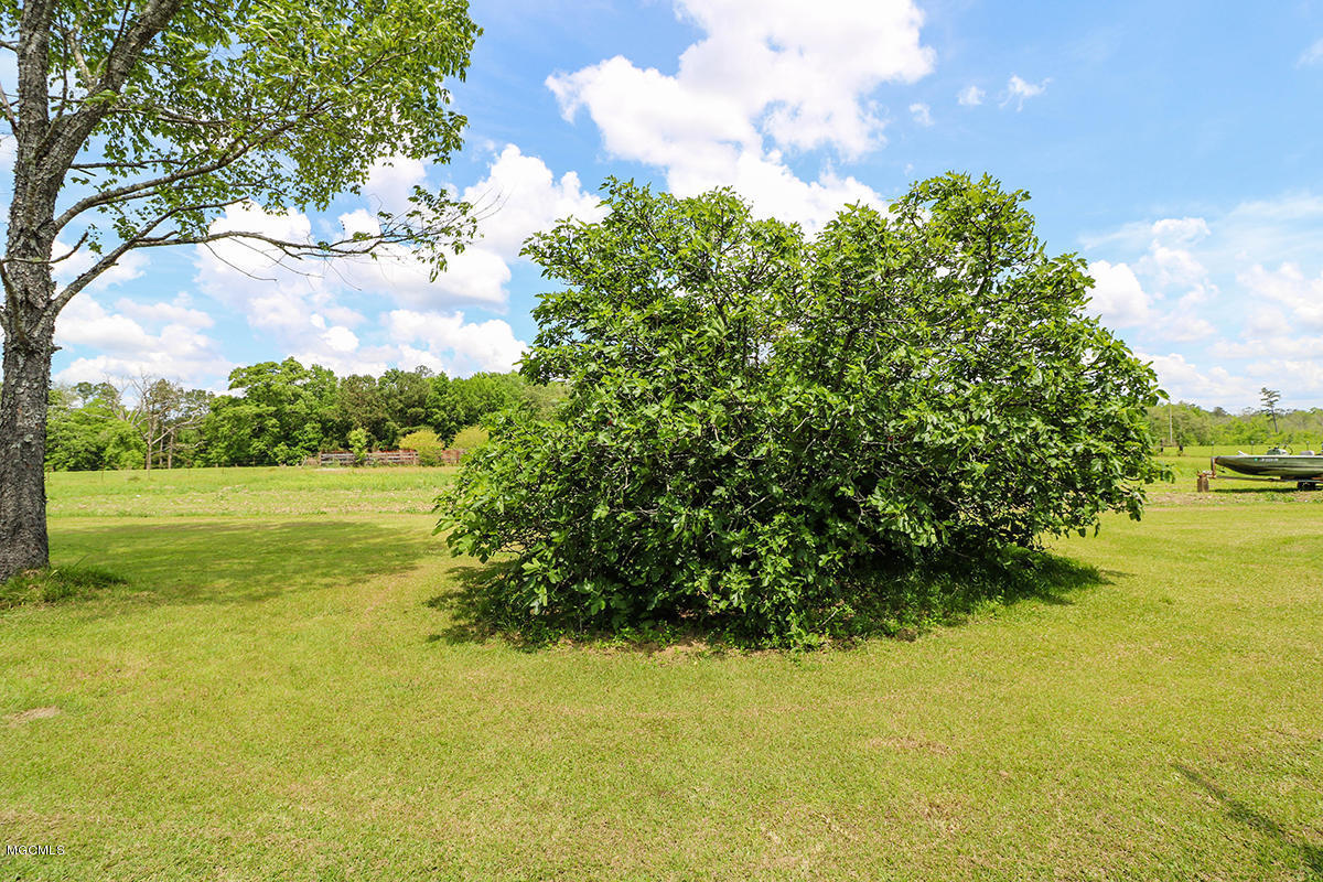 174 Bexley Road Lucedale, MS 39452 - Photo 50 of 59 50