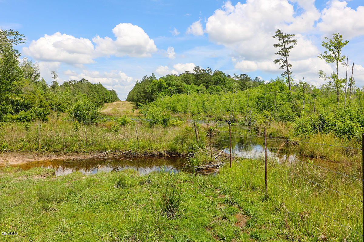 174 Bexley Road Lucedale, MS 39452 - Photo 54 of 59 54