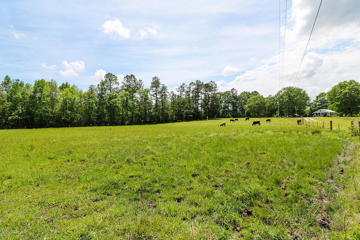 174 Bexley Road Lucedale, MS 39452 - Photo 55 of 59 55