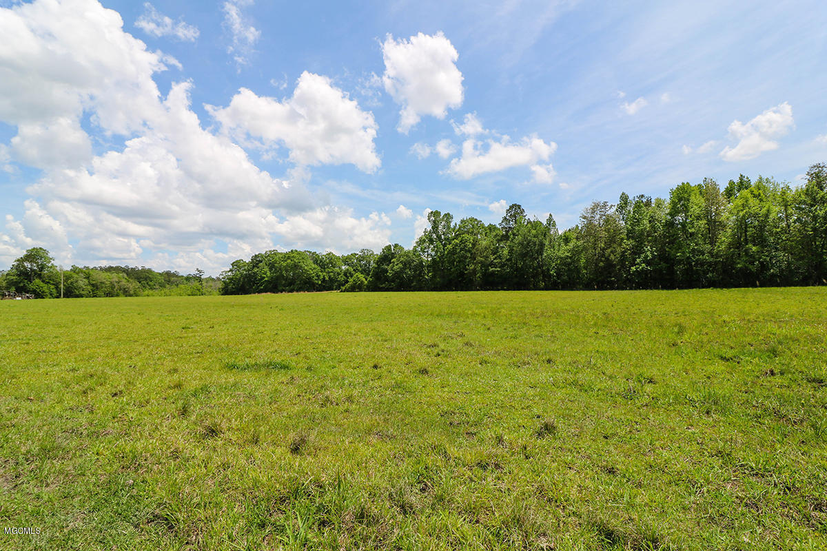 174 Bexley Road Lucedale, MS 39452 - Photo 56 of 59 56