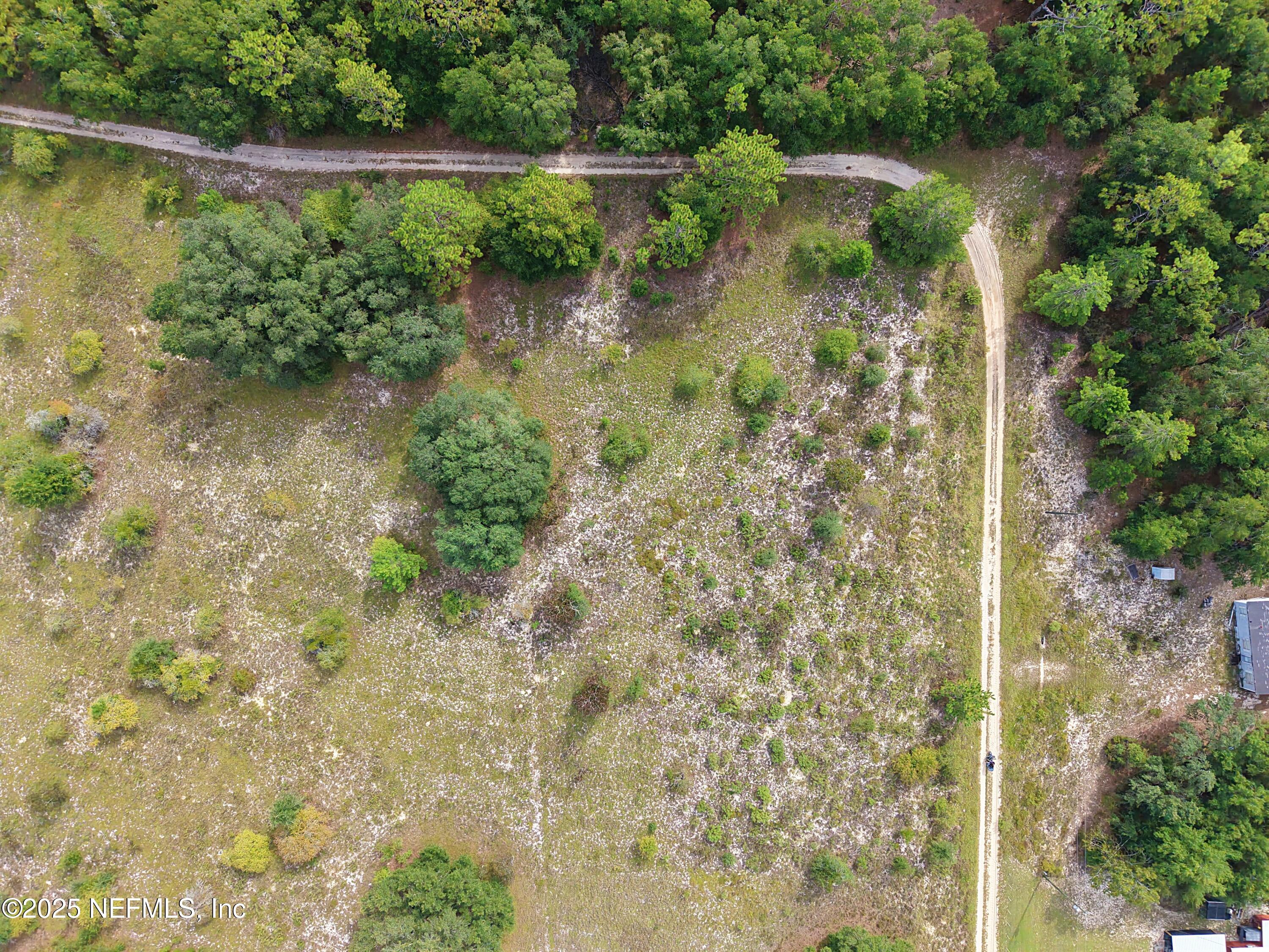 347 Chesser Monroe Road Hawthorne, FL 32640 - Photo 13 of 16 a view of a lake with a yard and large trees