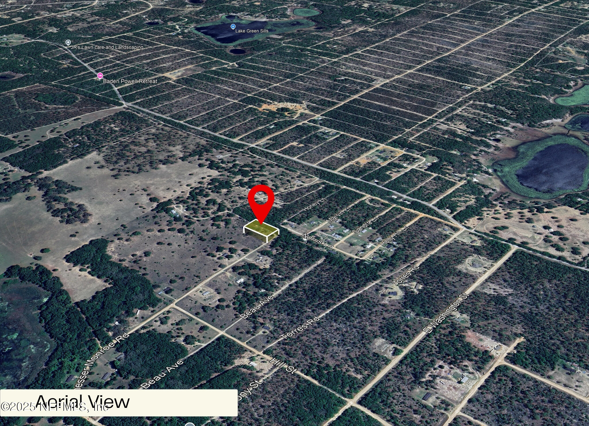 347 Chesser Monroe Road Hawthorne, FL 32640 - Photo 9 of 16 a view of a backyard