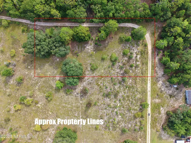 a view of a forest with a yard